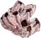 Real Purple Barnacle Cluster 5 to 7 inches Aquarium Ornament Piece for Decoration Natural Barnacle Cluster for Craft and Décor